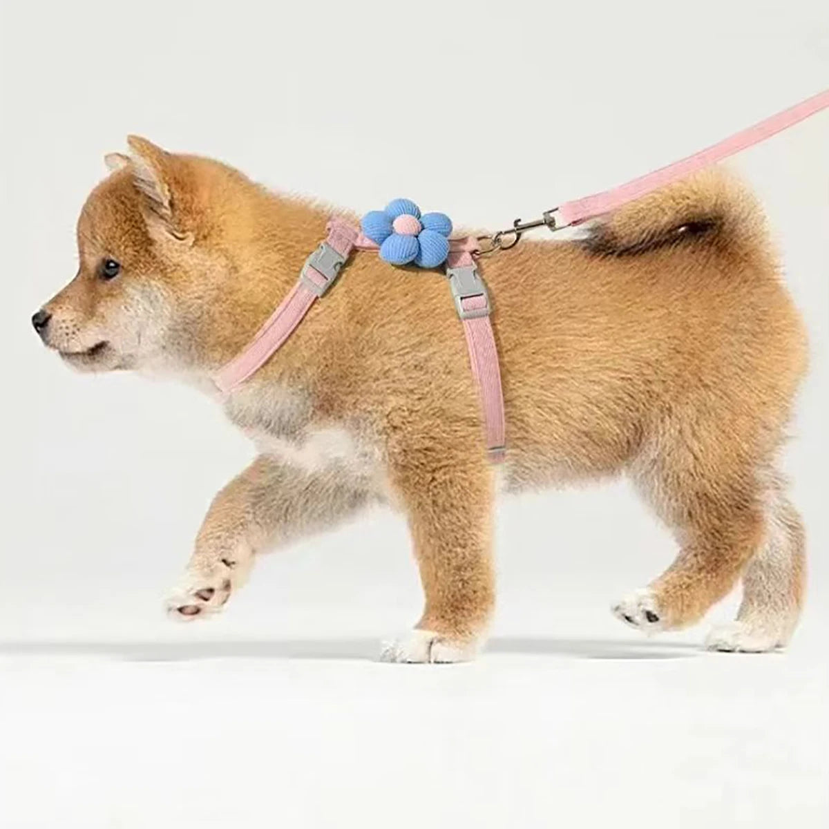 Adjustable Breathable Cat Harness & Leash Set | Escape-Resistant Walking Vest