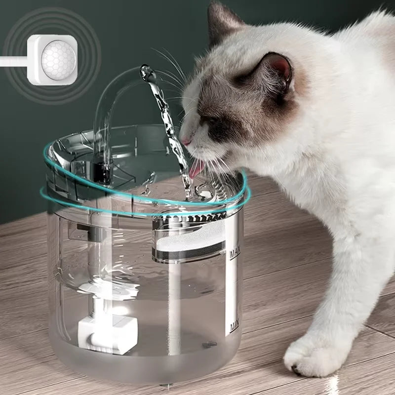 Transparent Automatic Pet Water Fountain with Motion Sensor Filter (2L)