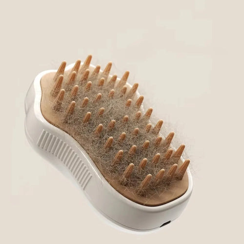 3-in-1 Steam Pet Grooming Brush for Dogs & Cats