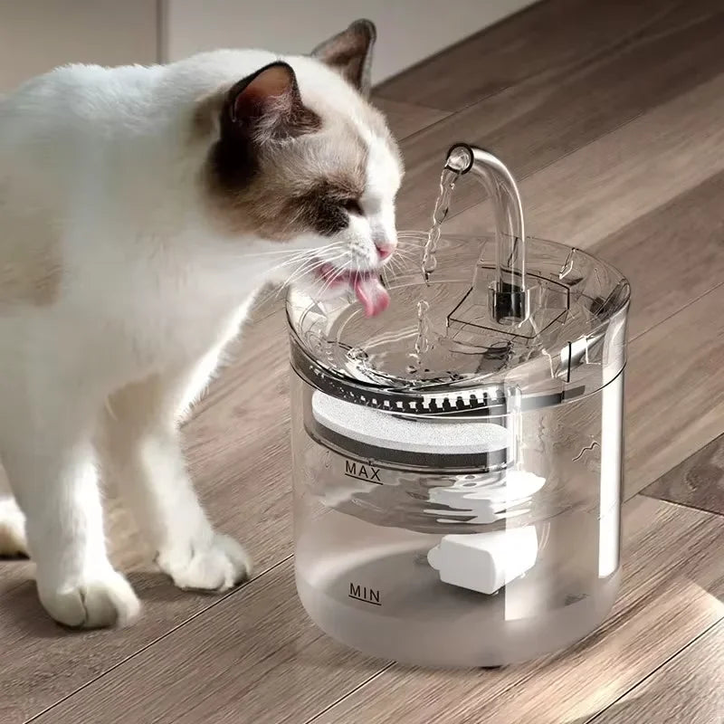 Transparent Automatic Pet Water Fountain with Motion Sensor Filter (2L)