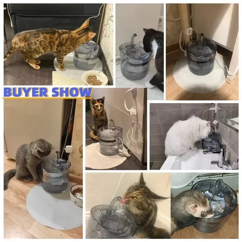 Transparent Automatic Pet Water Fountain with Motion Sensor Filter (2L)