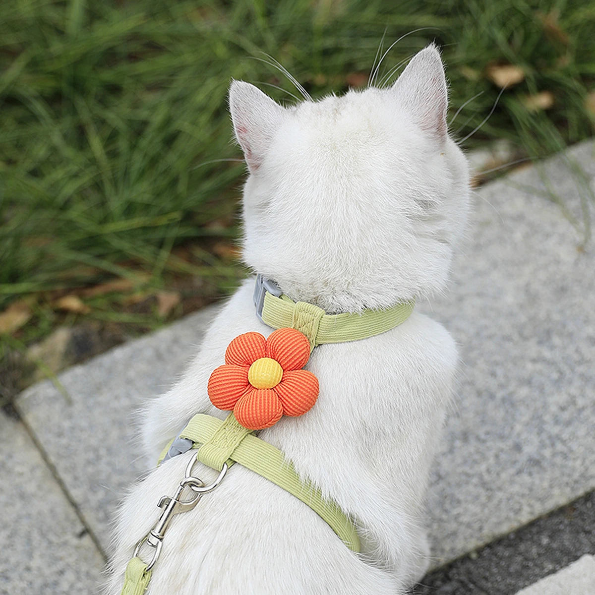 Adjustable Breathable Cat Harness & Leash Set | Escape-Resistant Walking Vest