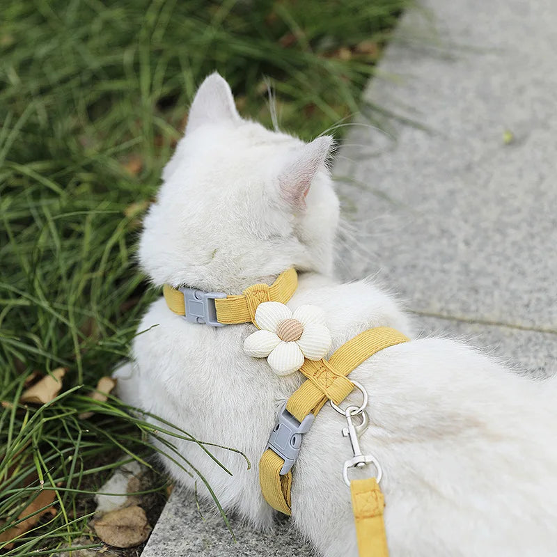 Adjustable Breathable Cat Harness & Leash Set | Escape-Resistant Walking Vest