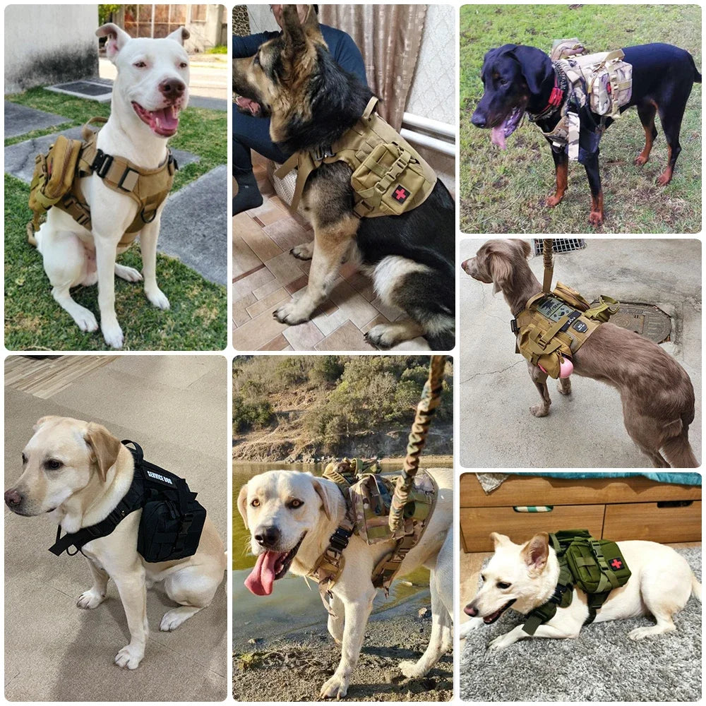 Premium Tactical No-Pull Dog Harness and Leash Set | Medium & Large Dogs